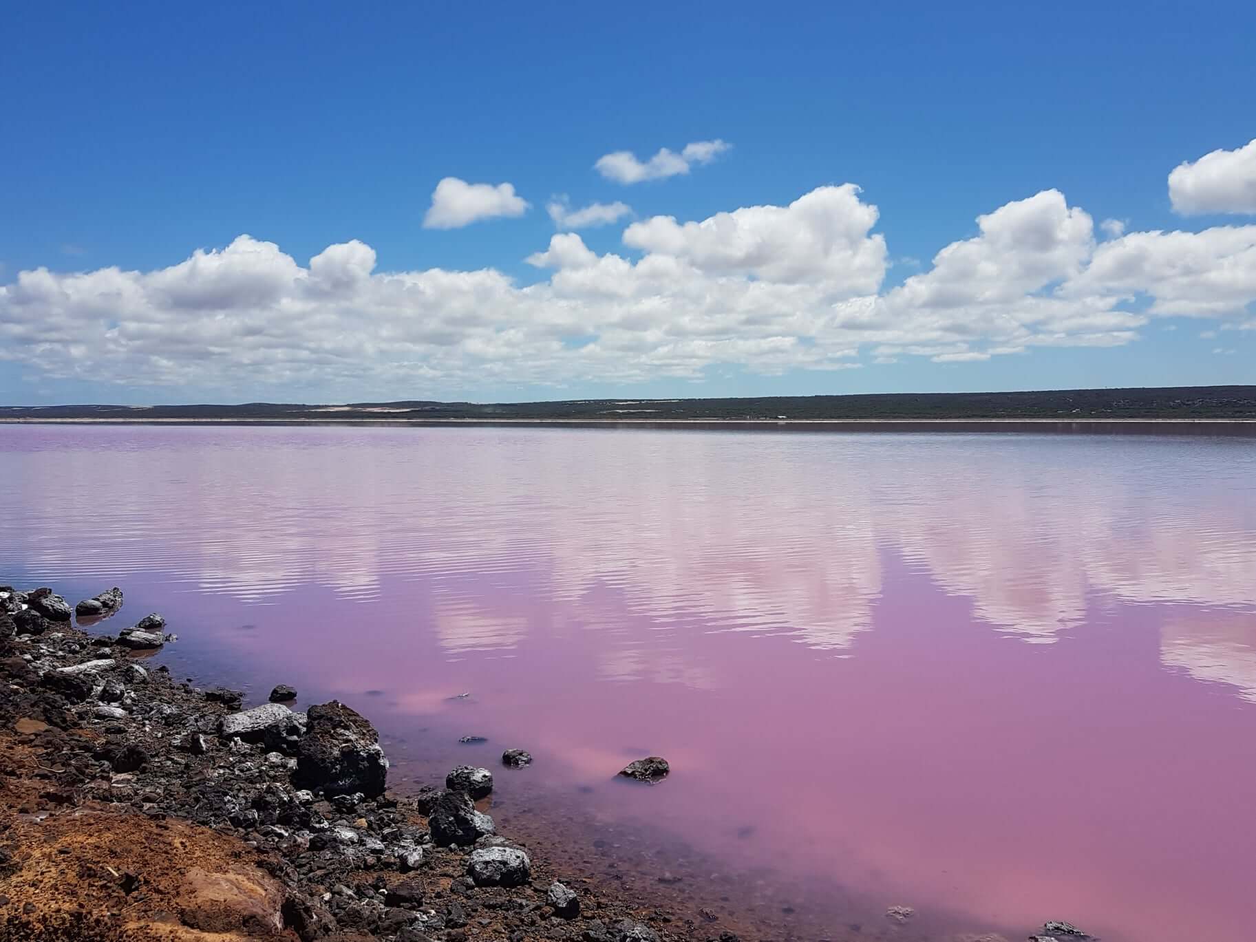 Olivier a pris une photo d'un lac rose en Australie